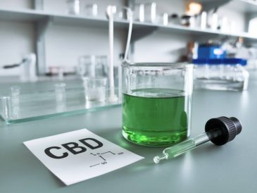 cbd et réduction de l'inflammation chronique : mécanismes moléculaires et efficacité